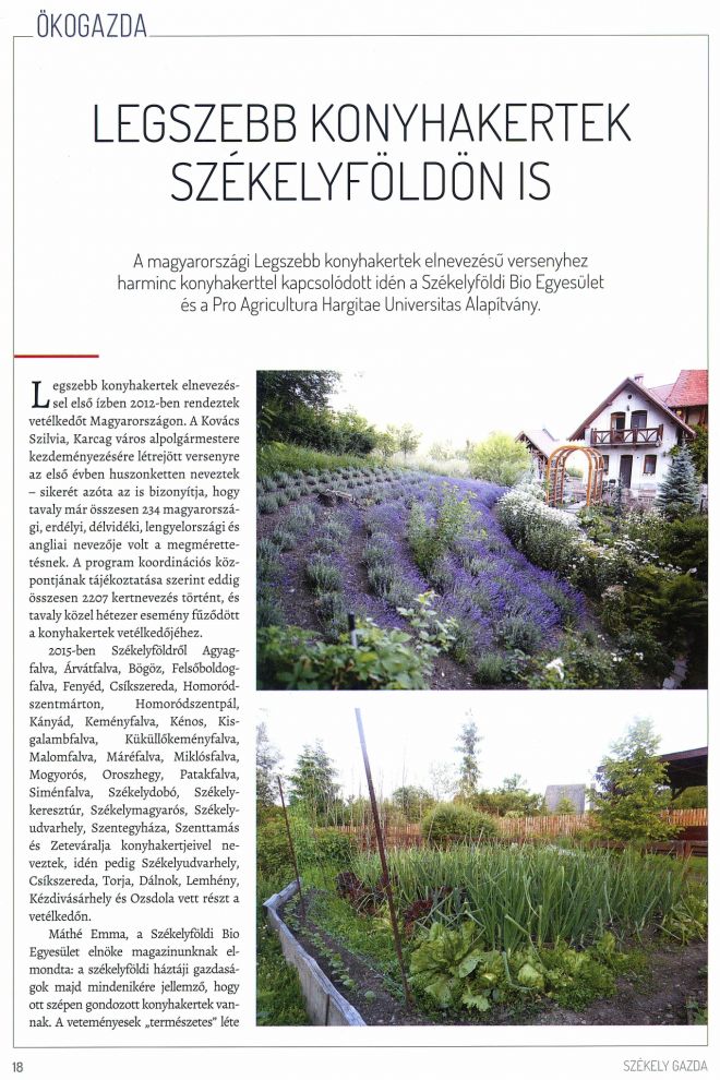Legszebb konyhakertek Székelyföldön is 1 (Székely Gazda 2016. dec. p. 18.)
